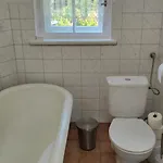 Prawdzicówka *