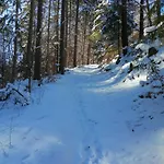 Prawdzicówka * Zachelmie (Jelenia Gora)