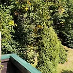 Prawdzicówka * Zachelmie (Jelenia Gora)