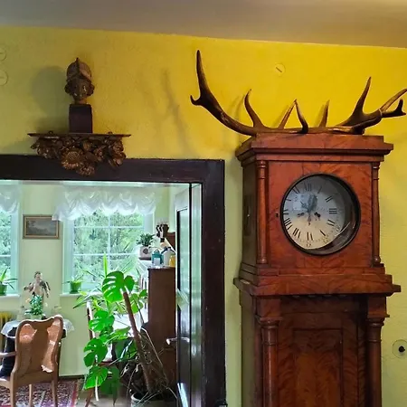 Prawdzicowka Guest house *