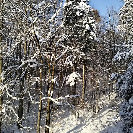 Guest house Prawdzicowka *