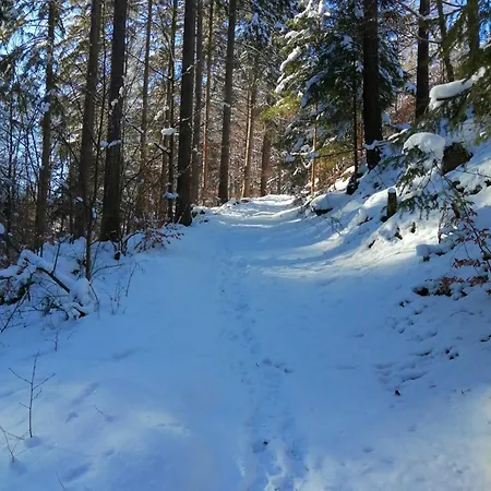Prawdzicowka * Zachelmie (Jelenia Gora)