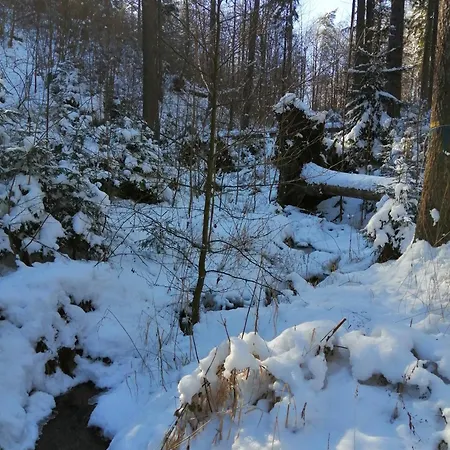 Guest house Prawdzicowka *