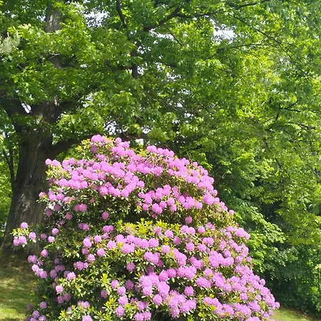 Gasthof Prawdzicowka *