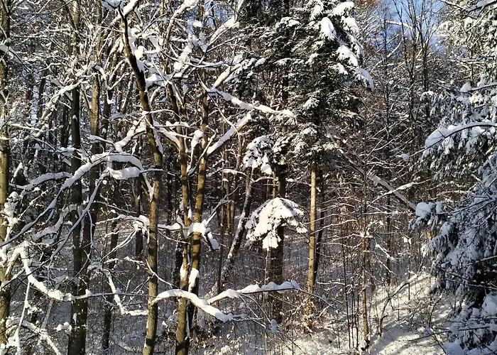 Πανσιόν Prawdzicowka *