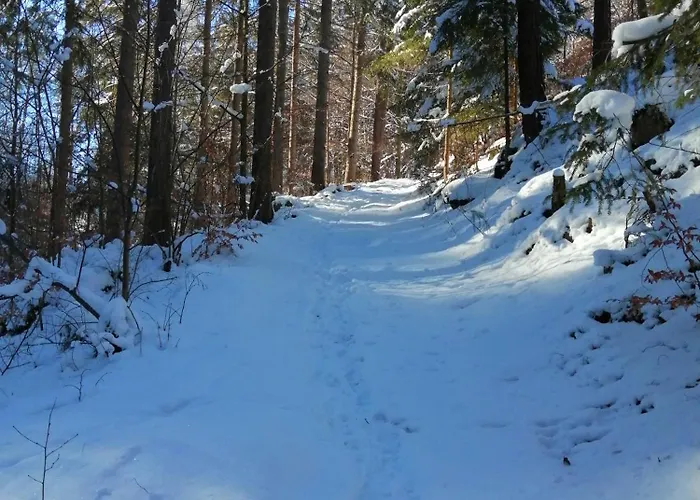 Prawdzicowka * Zachelmie (Jelenia Gora)