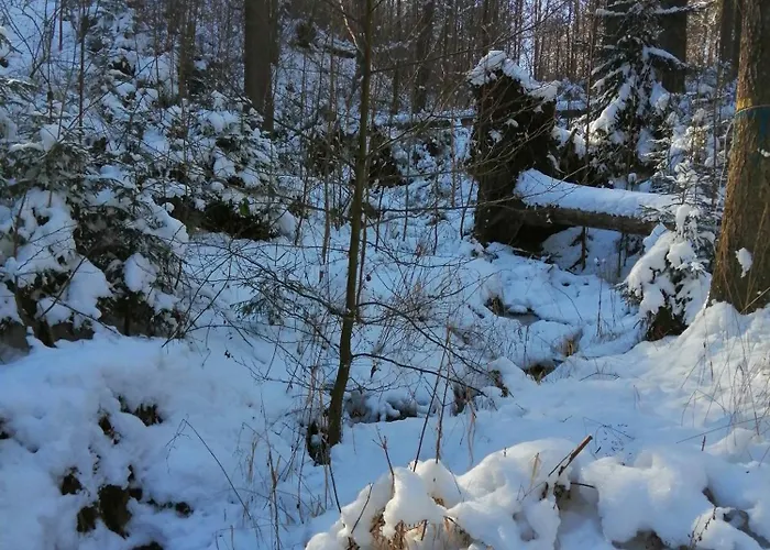 Πανσιόν Prawdzicowka *